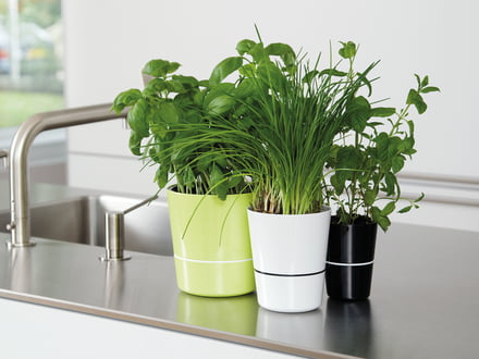 The Hydro Herbal Pot - A Small Self-Supporter