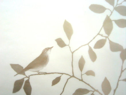 LADP - Birds in tree privacy film