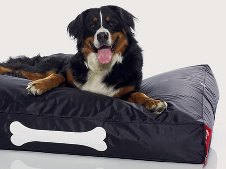 Pet supplies dog lounge