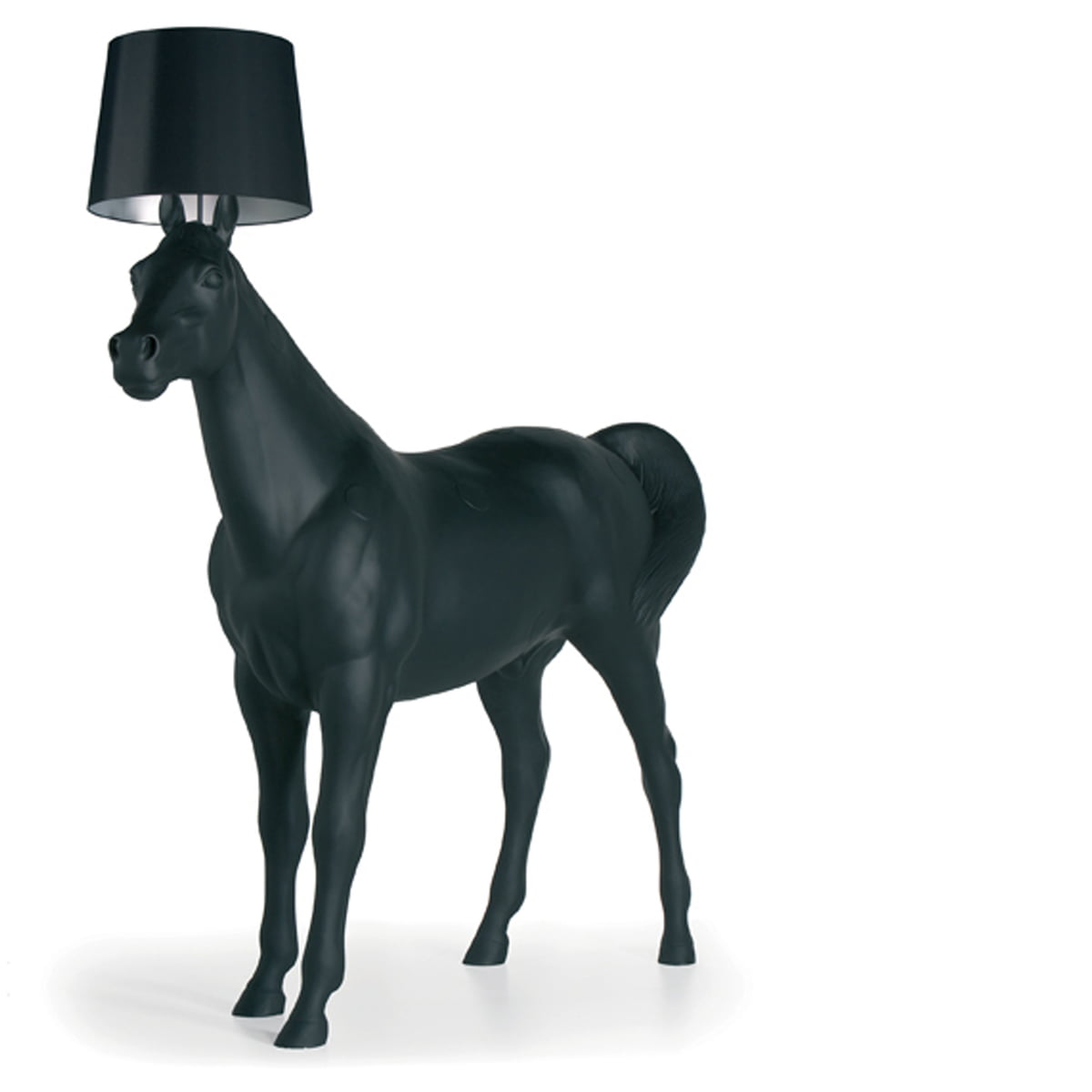 moi lamp horse