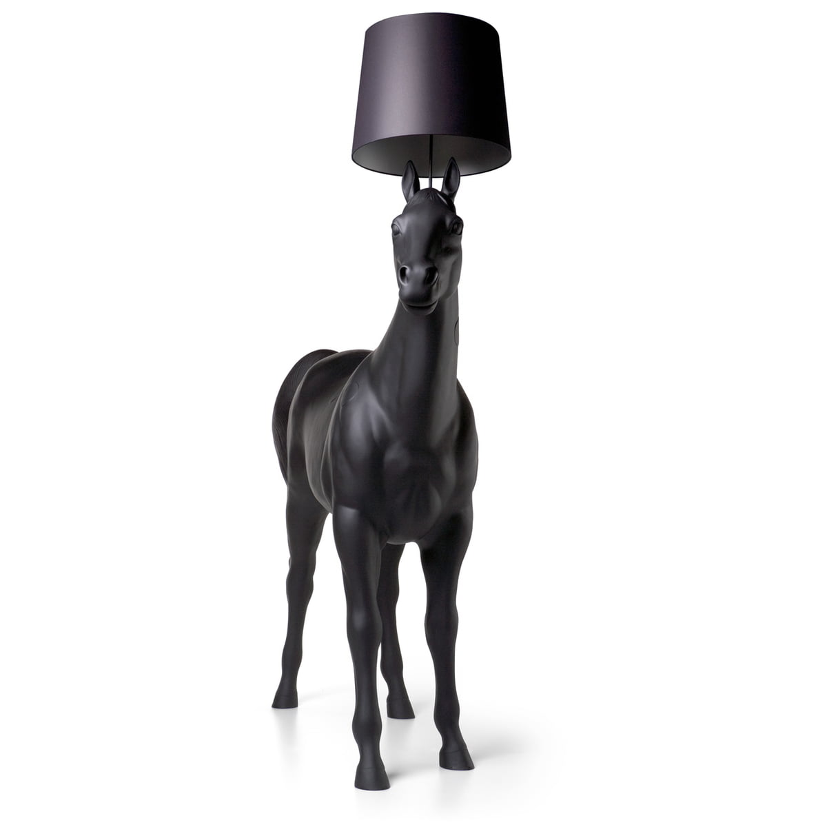 moi lamp horse