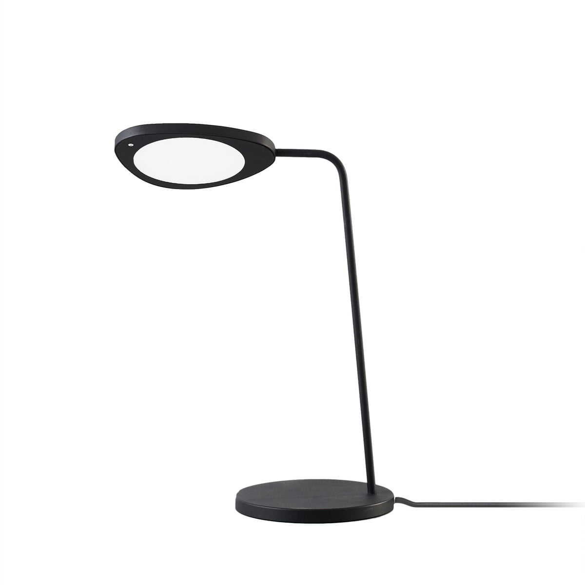 The Leaf Table Lamp the home shop