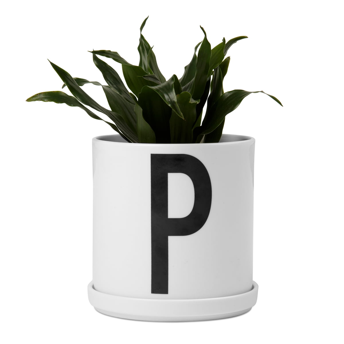 Plant Pot  by Design  Letters in the shop