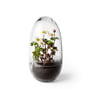 Design House Stockholm - Grow Greenhouse, medium