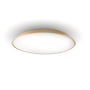 Artemide - Febe LED wall and ceiling light, Ø 61 cm, dove grey