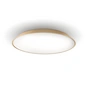 Artemide - Febe LED wall and ceiling light, Ø 61 cm, dove grey
