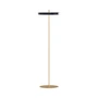 Umage - Asteria LED floor lamp, Ø 43 x H 150.7 cm, anthracite
