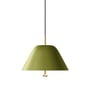 Audo - Levitate pendant lamp, Ø 28 cm, sage green (Pantone 5773) / brass