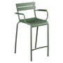 Fermob - Luxembourg Bar stool with armrests, cactus