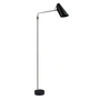 Northern - Birdy Swing Floor lamp, black / stainless steel