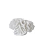 Mette Ditmer - Coral Decorative object gills, white