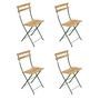 Fermob - Bistro Folding chair Naturel, cedar green (set of 4)