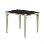 TipToe - Children's desk slate Vice Versa, dino green