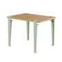 TipToe - Children desk, solid oak, dino green