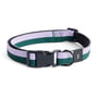 Hay - Dogs Dog collar, M/L lavender / green