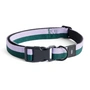 HAY - Dogs Dog collar, M/L lavender / green