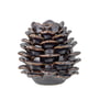 Bloomingville - Pine candle holder, h 10 cm, brown