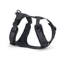 MiaCara - Modena Dog harness S, asphalt