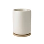Stelton - Theo Thermo tea mug with coaster, 0.25 l, sand