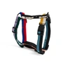HAY - Dogs Dog harness, M, multi