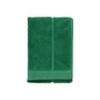 Marimekko - Tiiliskivi Guest towel 30 x 50 cm, green