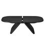 Blomus - Avio coffee table, 100 x 54 cm, black