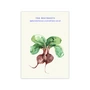 Copy - Paper Collective - The Beetroots Poster, 50 x 70 cm