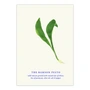 Paper Collective - The Ramson Pesto Poster, 70 x 100 cm