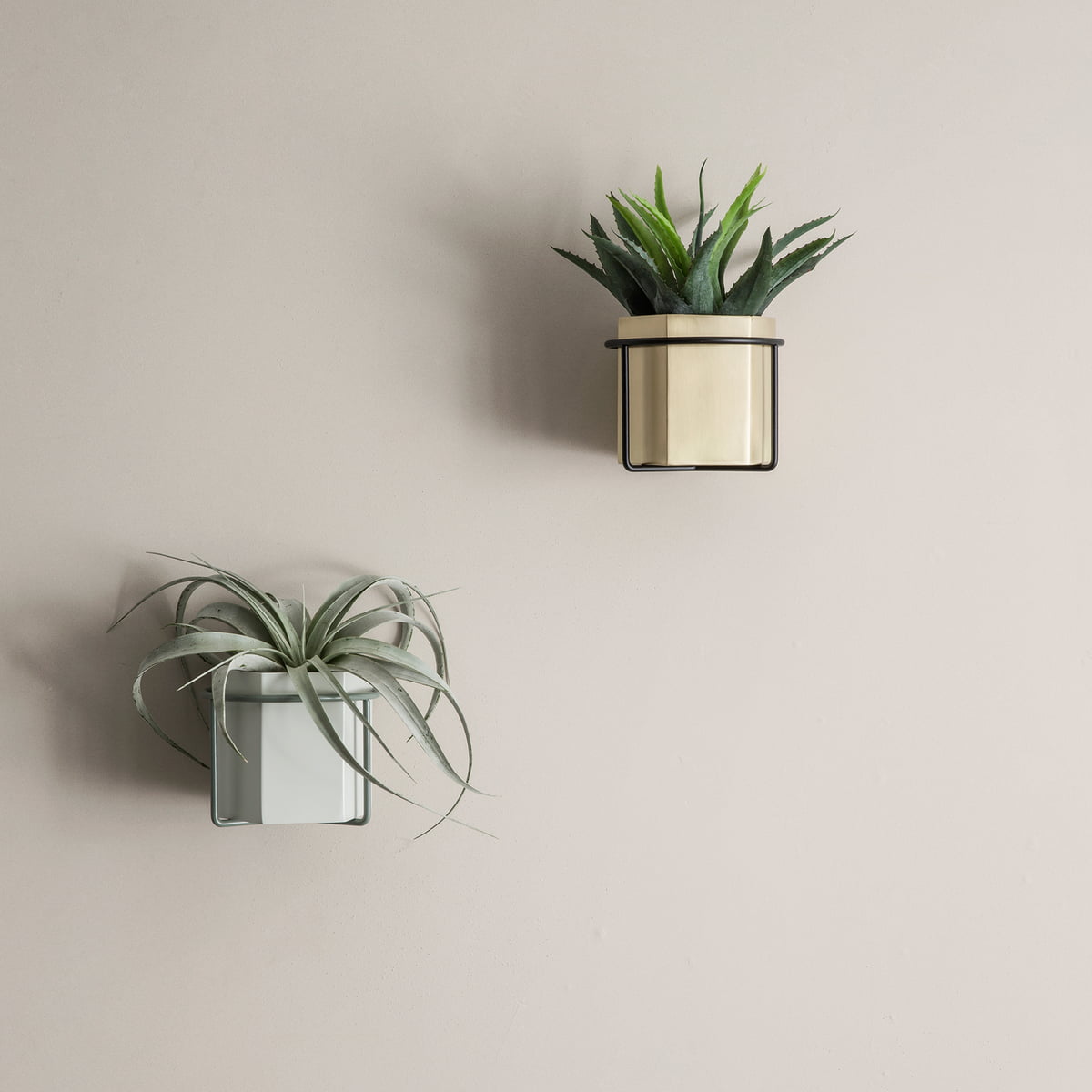 uitslag neef Ver weg Wall plant holder by ferm Living in our shop