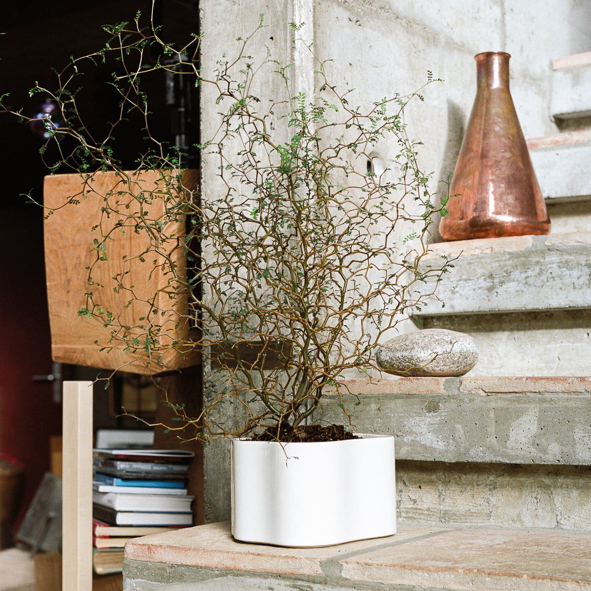 Artek / Riihitie Plant Pot B（Sサイズ） Riihitie Plant Pot - Shape B – Danish Design Store