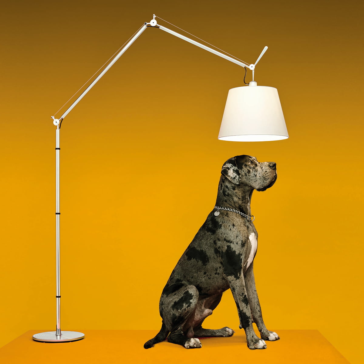 Artemide Tolomeo Classic LED Floor Lamp