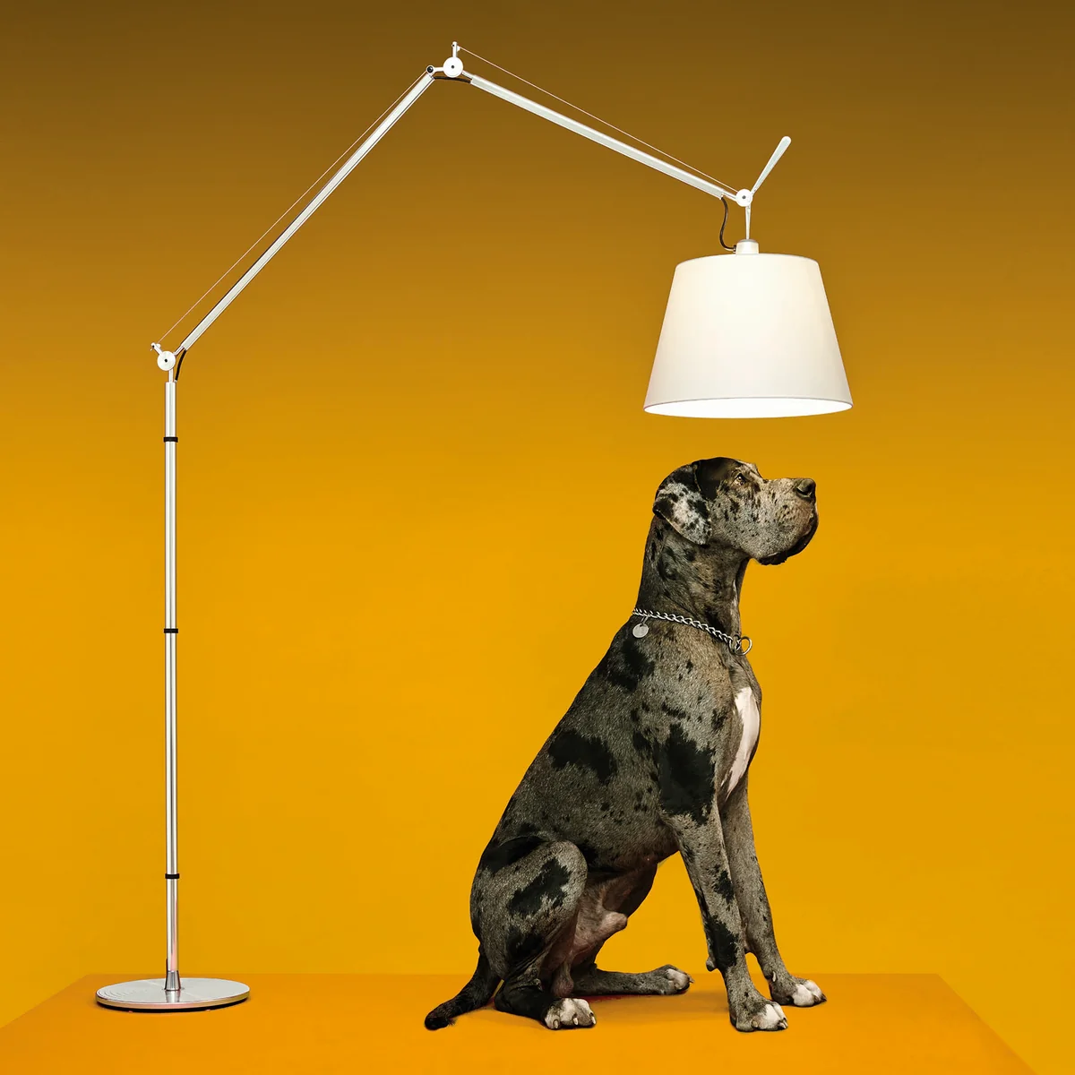 Artemide TOLOMEO LETTURA フロア照明 Tolomeo Reading Floor アルミ H Max1670mm - YAMAGIWA OnlineStore