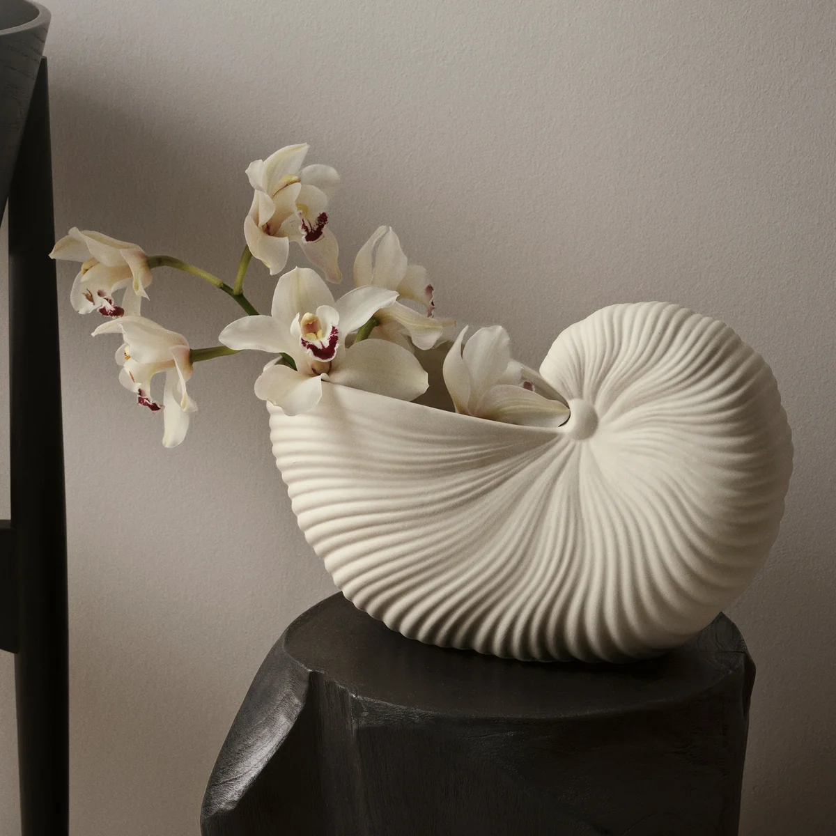 その他 ferm living Ferm Living - Shell pot | Connox