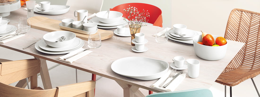 Thomas - ONO Collection