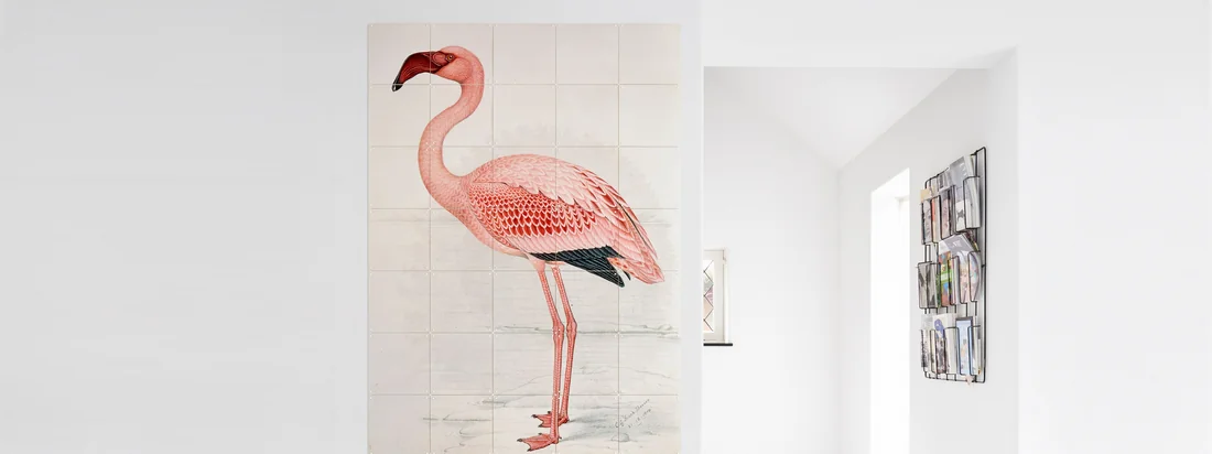 Animal Design