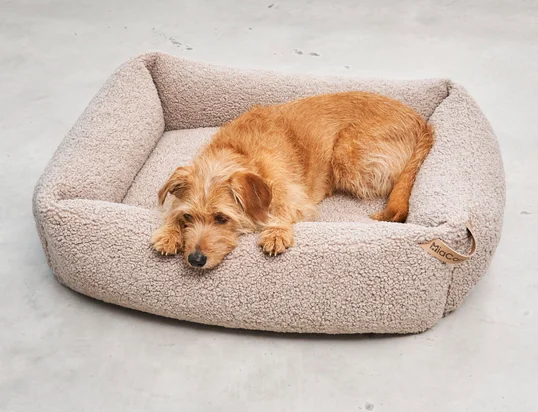 Senso animal cushion from MiaCara