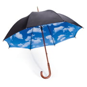 MoMA Collection - Sky umbrella