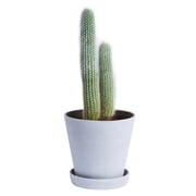 Hay - Flowerpot with Saucer