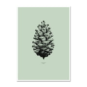 Paper Collective - Nature 1:1 Pine Cone (grey)