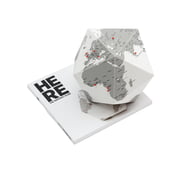 Palomar - Here The Personal Globe