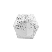 Palomar - Here The Personal Globe