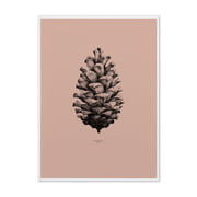 Paper Collective - Nature 1:1 Pine Cone (grey)