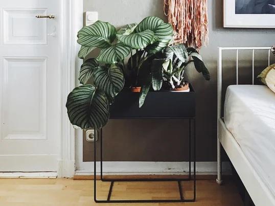 ferm Living - Plant Box, black - situation - blog Herz & Blut
