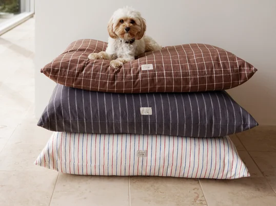 OYOY ZOO - Kyoto pet cushion