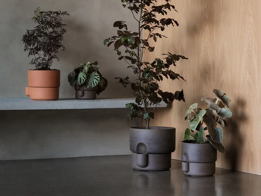 Oasis plant pot from Northern