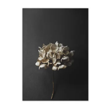 Paper Collective | Connox