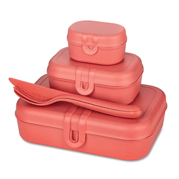 https://cdn.connox.com/m/100106/554895/media/Koziol/Februar-2022/Koziol-Pascal-Ready-Lunchbox-Set-mit-Klikk-Besteck-nature-coral.jpg