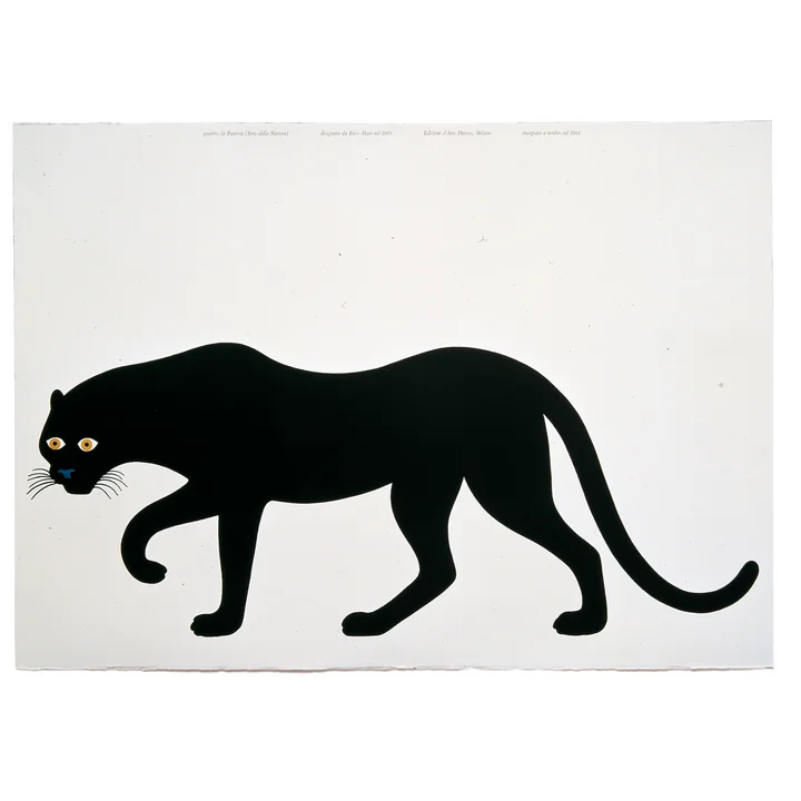 Danese graphic art "Quattro, la pantera"