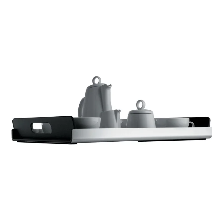 Stylish stainless steel tray