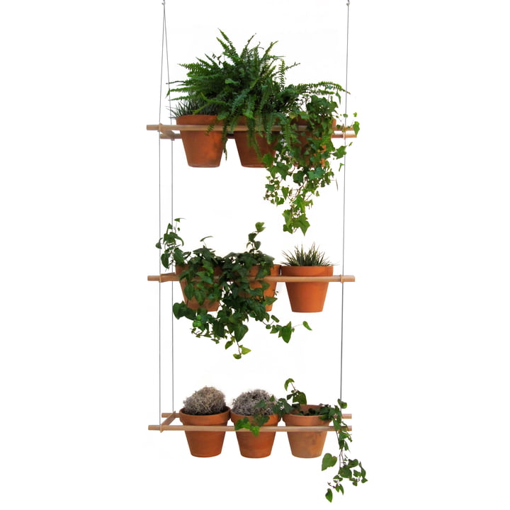 Edition Compagnie - Etcetera Planting System (set of 3)
